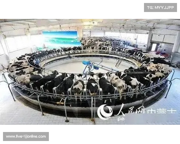 北欧教练助力内蒙古曲棍球发展 开启体育教育合作新篇章 北欧教练助力内蒙古曲棍球发展 开启体育教育合作新篇章