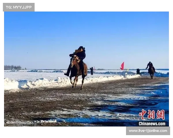 莫力达瓦端午赛马与冬季雪地赛马,传统体育活动与现代赛事交织 莫力达瓦端午赛马与冬季雪地赛马,传统体育活动与现代赛事交织